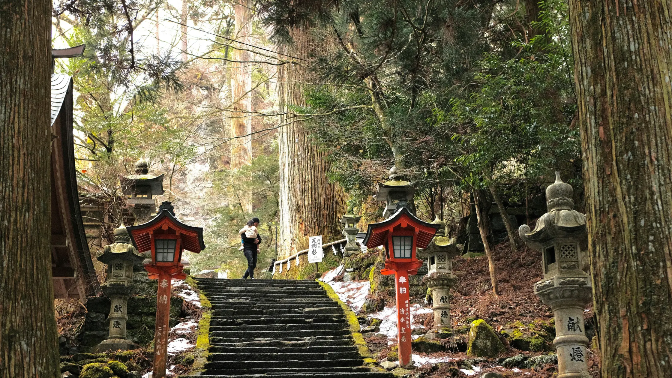 japan - Siddhivinayak Tours & Travels
