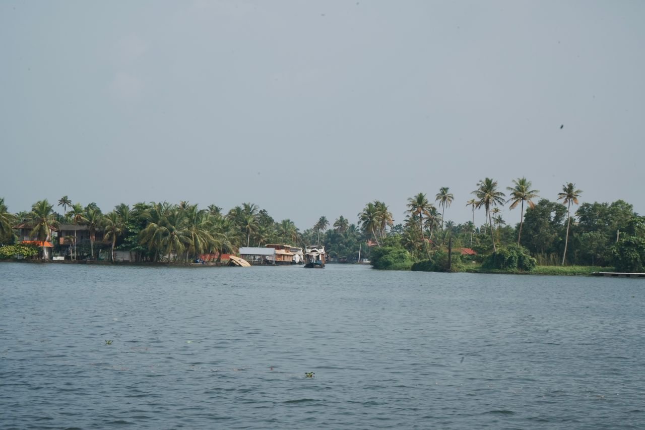 Scenic tropical river landscape featuring palm trees and traditional houses against a clear sky.